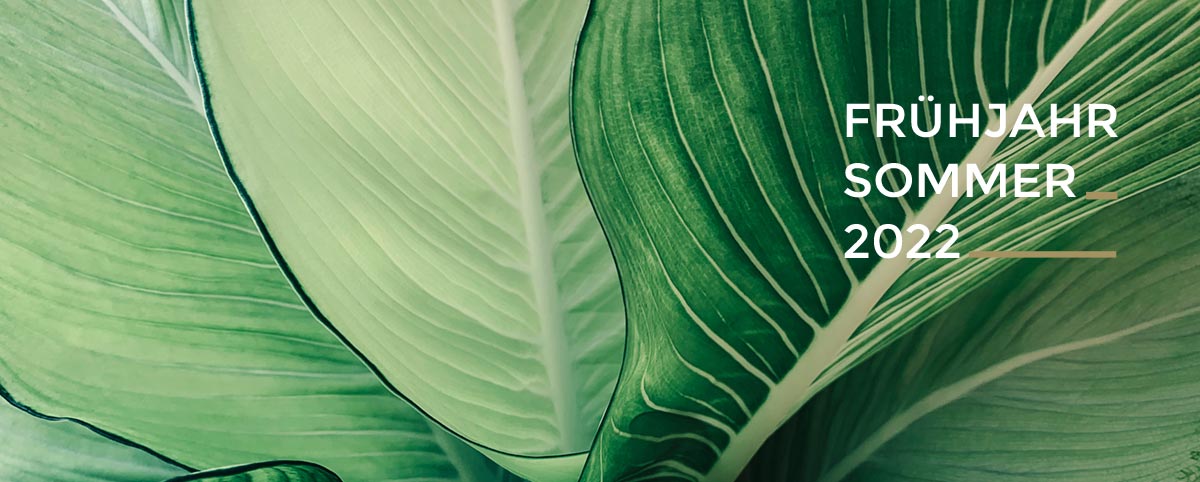 Frühjahr // Sommer 2022