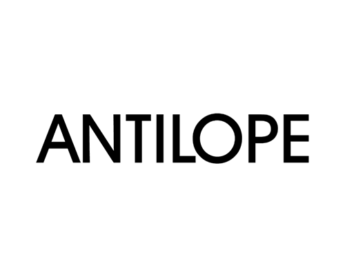 Antilope - Schuhe, Mode und Accessoires